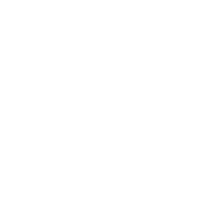 Credit cards (via PayPal)